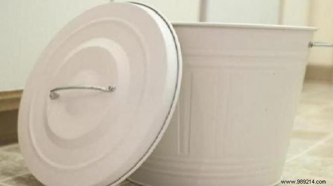 Smart, Budget-Friendly Trash Can Deodorizer: Cat Litter Hack That Works