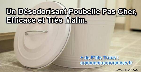 Smart, Budget-Friendly Trash Can Deodorizer: Cat Litter Hack That Works