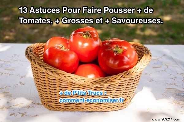 13 Proven Gardening Tips for Bigger, Higher-Yield, and Sweeter Tomatoes