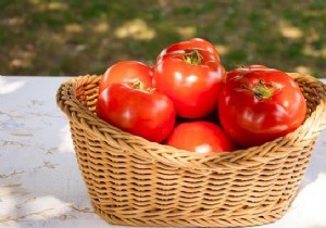 13 Proven Gardening Tips for Bigger, Higher-Yield, and Sweeter Tomatoes