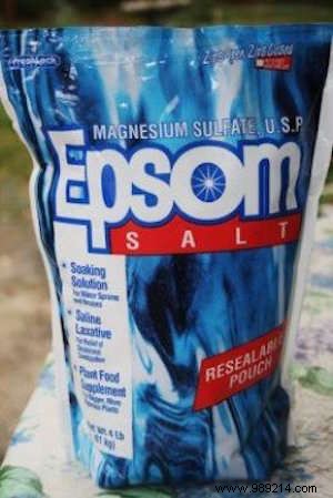 13 Proven Gardening Tips for Bigger, Higher-Yield, and Sweeter Tomatoes