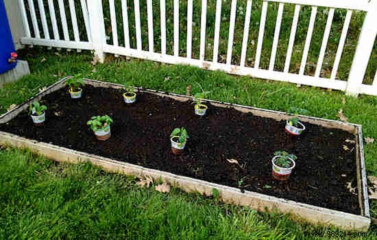 13 Proven Gardening Tips for Bigger, Higher-Yield, and Sweeter Tomatoes