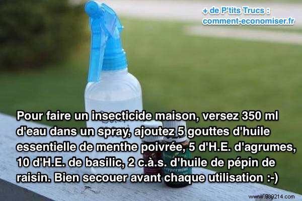 DIY Natural Bug Repellent: Homemade Insecticide with Essential Oils