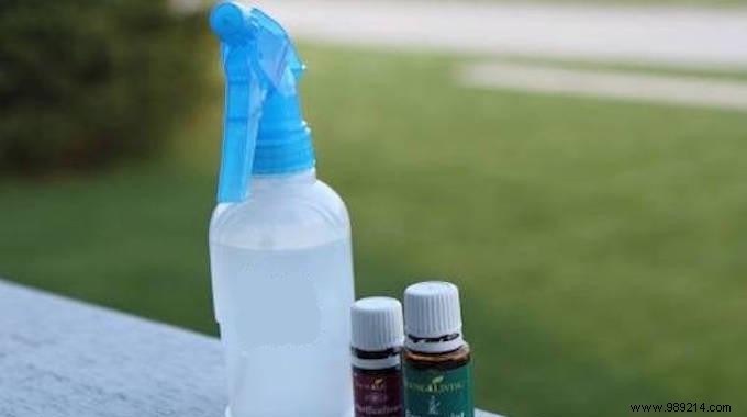 DIY Natural Bug Repellent: Homemade Insecticide with Essential Oils
