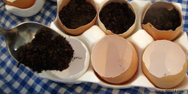 10 Genius Ways to Repurpose Eggshells for Gardening, Health, and Home
