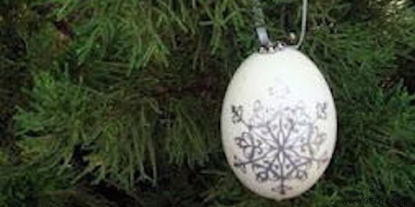 10 Genius Ways to Repurpose Eggshells for Gardening, Health, and Home