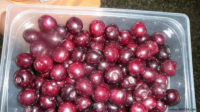 How to Easily Remove Cherry Stains from Clothing: A Proven Home Remedy