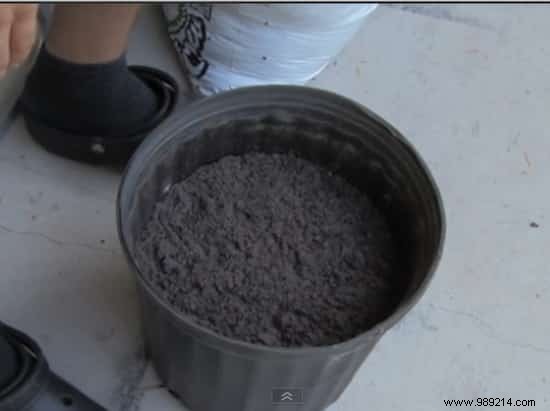 The Simplest Way to Grow Tomatoes from Overripe Fruit – A Gardener s Proven Hack