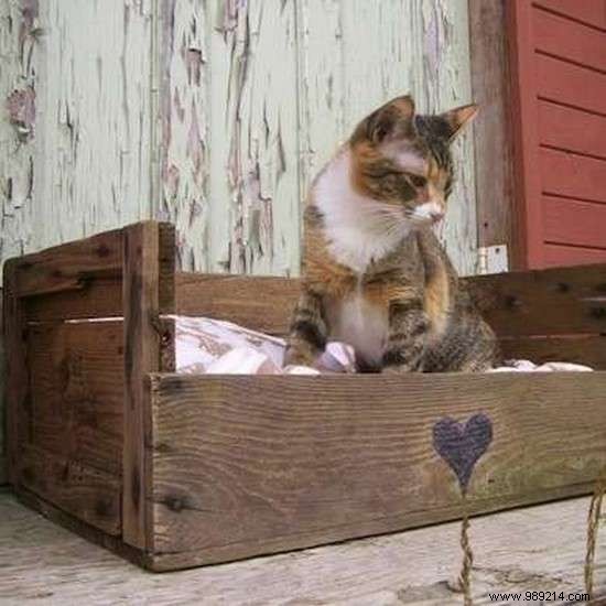 15 Ingenious Ways to Upcycle Old Wooden Pallets into Stunning DIY Projects