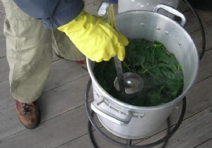 How to Store Nettle Manure for Up to 3 Months: A Proven Gardening Method