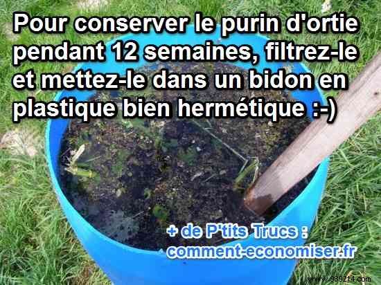 How to Store Nettle Manure for Up to 3 Months: A Proven Gardening Method