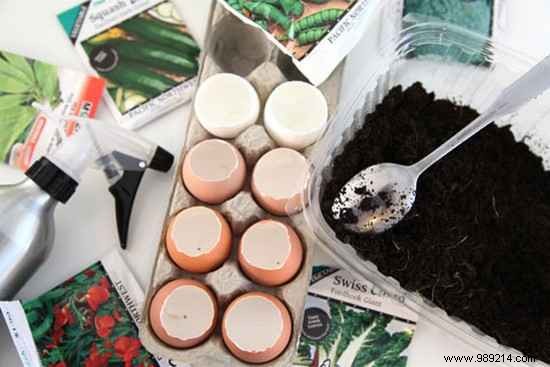 Eco-Friendly Eggshell Seedling Pots: Save 90% on Gardening Costs