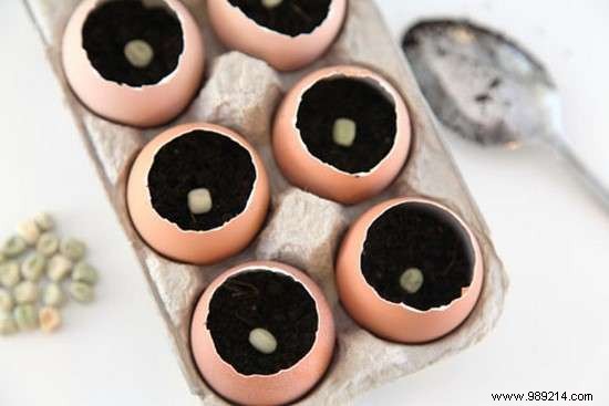 Eco-Friendly Eggshell Seedling Pots: Save 90% on Gardening Costs