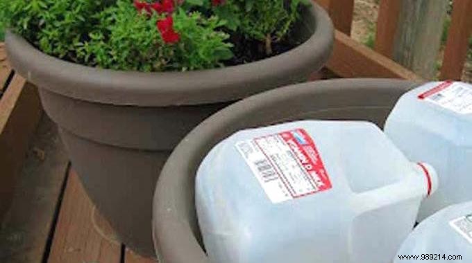 Expert Gardening Hack: Save Potting Soil in Flower Pots with Plastic Bottles