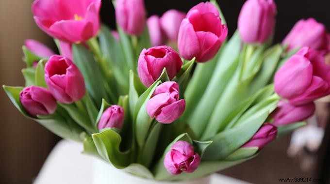 2 Proven Tips to Make Your Bouquet Last Longer: Baking Soda and Vinegar