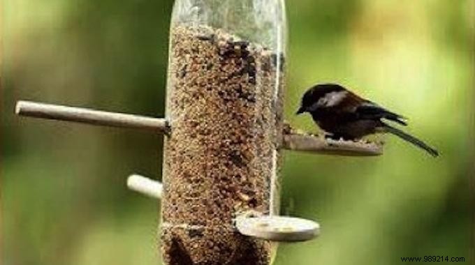 Easy DIY Automatic Bird Feeder: Plastic Bottle and Spoon Tutorial