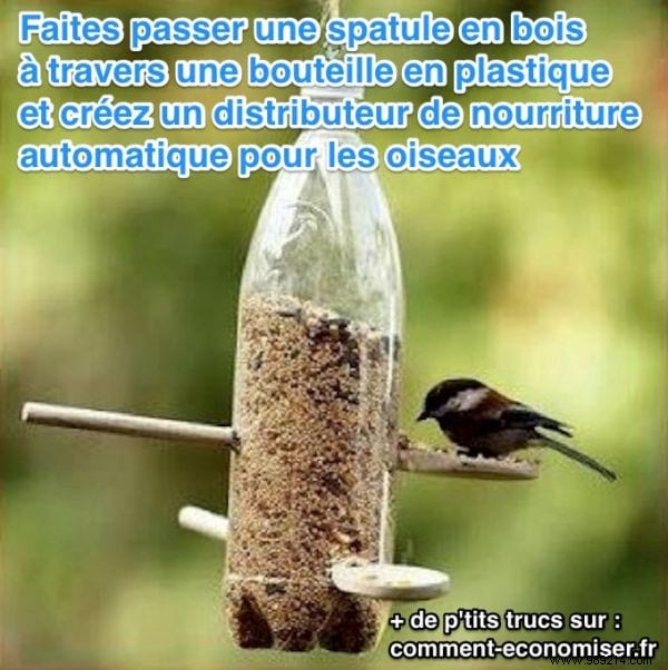 Easy DIY Automatic Bird Feeder: Plastic Bottle and Spoon Tutorial
