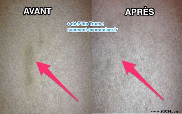 Proven: How to Remove Stubborn Carpet Stains with White Vinegar – My Tested Method