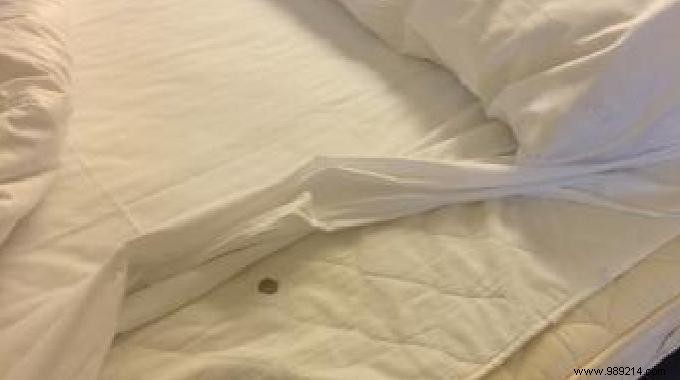 How to Remove Blood Stains from a Mattress: A Proven Natural Method