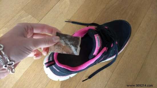 20 Proven Ways to Repurpose Used Tea Bags for Home, Garden, and Beauty