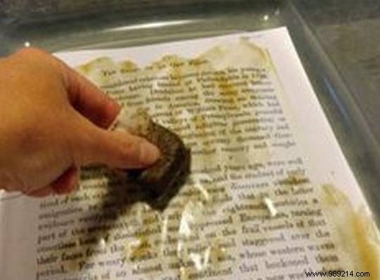 20 Proven Ways to Repurpose Used Tea Bags for Home, Garden, and Beauty