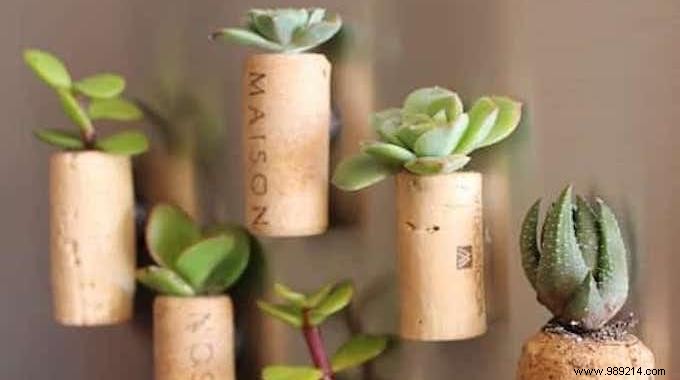 DIY Wine Cork Succulent Magnets: Easy Mini Planter Tutorial