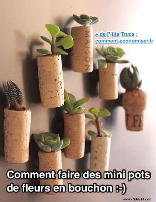DIY Wine Cork Succulent Magnets: Easy Mini Planter Tutorial