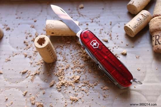 DIY Wine Cork Succulent Magnets: Easy Mini Planter Tutorial