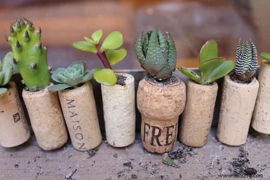 DIY Wine Cork Succulent Magnets: Easy Mini Planter Tutorial