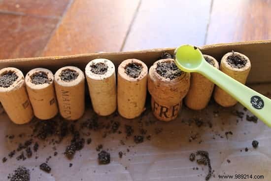 DIY Wine Cork Succulent Magnets: Easy Mini Planter Tutorial