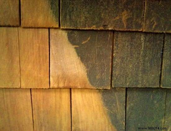 4 Proven Uses for Oxalic Acid (Sorrel Salt) in Cleaning and Restoration