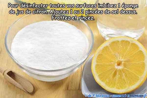 Salt and Lemon: A Proven Natural Disinfectant for Household Surfaces