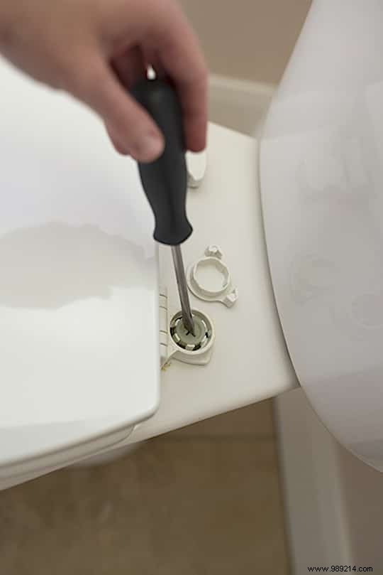 Simple Expert Guide: How to Remove Urine Splatter from Toilet Bowl and Seat
