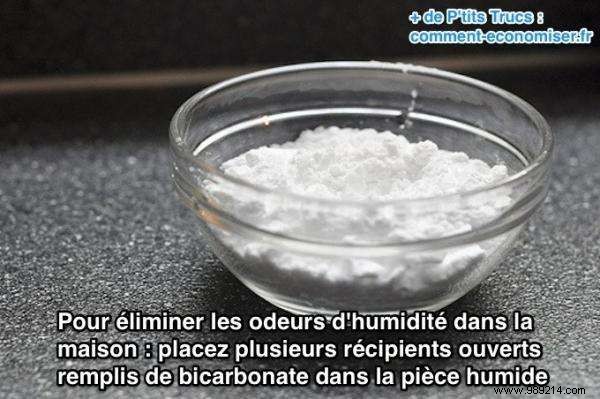 Eliminate Damp Smells in Your Home: The Proven Baking Soda Solution