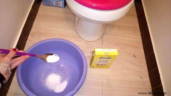 Effortless Way to Descale the Bottom of Your Toilet Bowl Using Soda Crystals