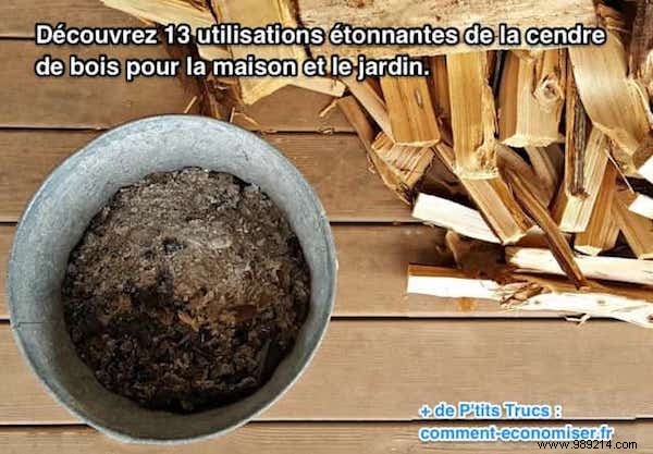 13 Proven Uses for Wood Ash in Your Home and Garden