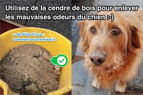 13 Proven Uses for Wood Ash in Your Home and Garden