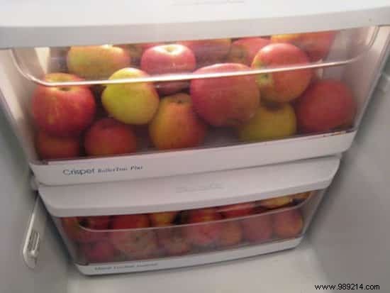 33 Proven Tips to Store Food Longer: Say Goodbye to Spoiled Produce