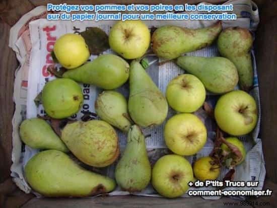 33 Proven Tips to Store Food Longer: Say Goodbye to Spoiled Produce