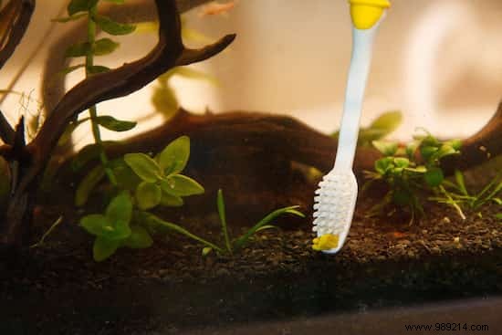 25 Genius Ways to Repurpose Old Toothbrushes: Proven Cleaning Hacks from Years of Experience