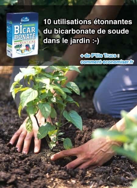 10 Proven Baking Soda Hacks for a Thriving Garden