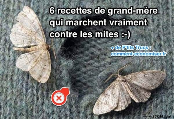 6 Proven Grandma s Remedies to Repel Moths from Your Closet Naturally