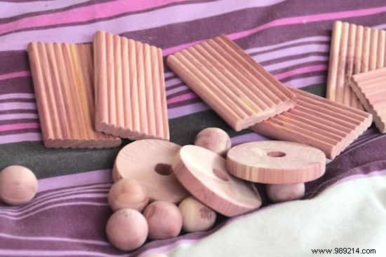 6 Proven Grandma s Remedies to Repel Moths from Your Closet Naturally