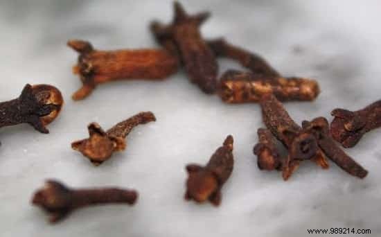 6 Proven Grandma s Remedies to Repel Moths from Your Closet Naturally