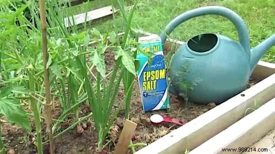 Why Epsom Salt Transforms My Garden and Vegetable Patch: Real Results from Years of Use