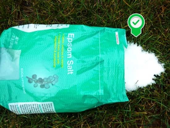 Why Epsom Salt Transforms My Garden and Vegetable Patch: Real Results from Years of Use