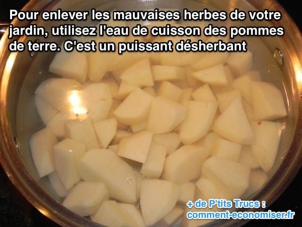 Natural Weed Killer: Use Leftover Potato Water for a Chemical-Free Garden