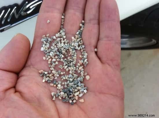 6 Proven Ways to Feed Your Backyard Chickens on a Budget – Real Tips from Years of Experience