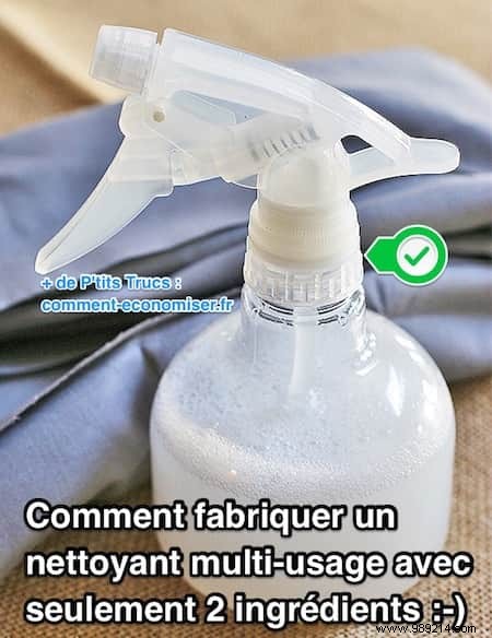 DIY Multi-Purpose Cleaner: 2 Natural Ingredients for an Eco-Friendly Sparkle