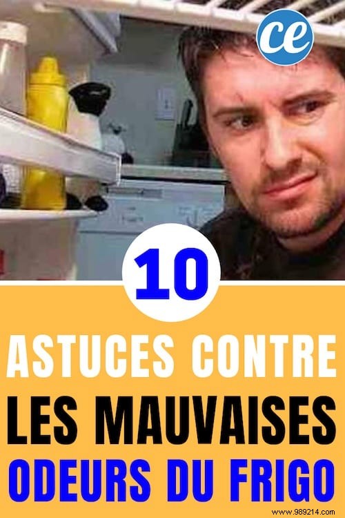 10 Proven Natural Tips to Eliminate Stubborn Fridge Odors